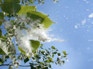 Allergy Season Is Here! How Your HVAC System Can Help You Breathe Easier Thumbnail